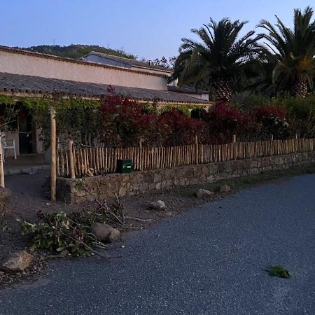 Les Lodges De La Plage U Dragulinu 萨利索伦泽哈 外观 照片