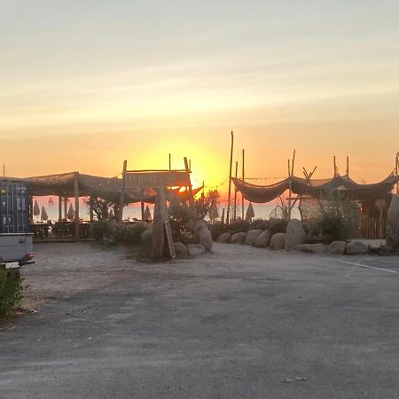 Les Lodges De La Plage U Dragulinu 萨利索伦泽哈 外观 照片